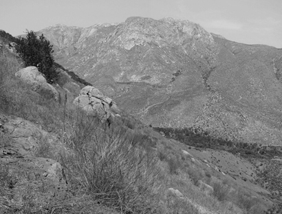 El Cajon Mountains