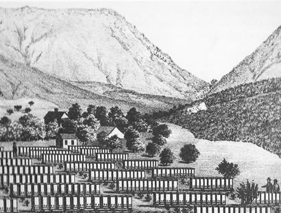 Lithograph Harbison Hives