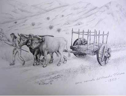 Ox Cart Drawing