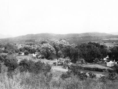 Viejas Mountain from The Willows